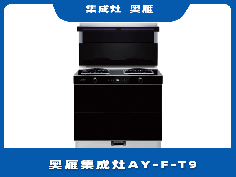 奥雁集成灶AY-F-T9消毒柜功能