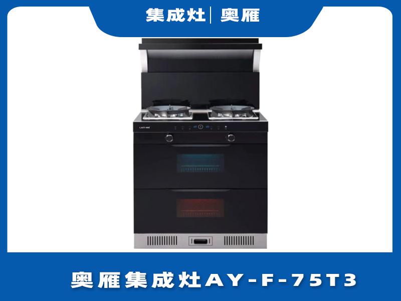 奥雁集成灶AY-F-75T3消毒柜功能