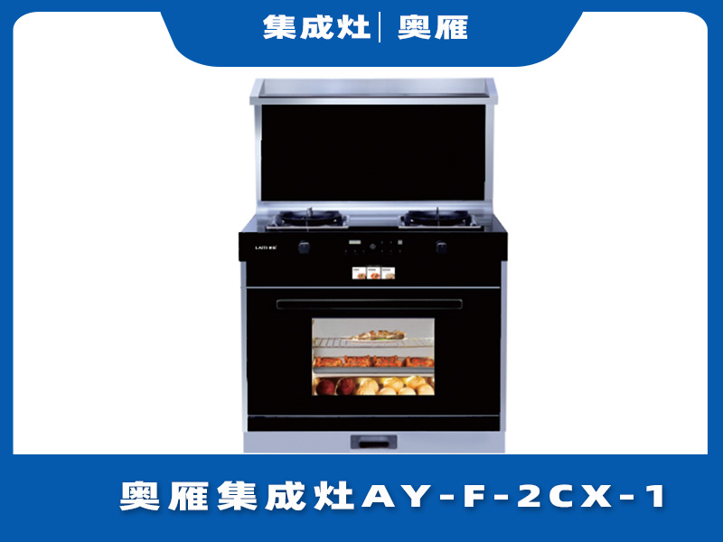 奥雁集成灶AY-F-2CX-1智能